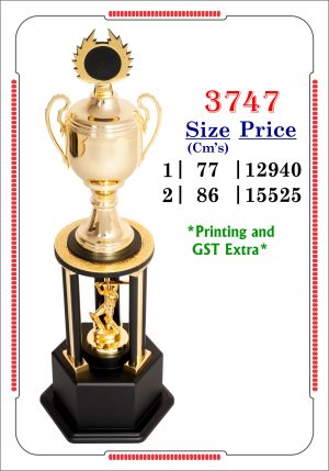 VR-3747 Trophy