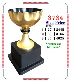 VR-3784 Trophy