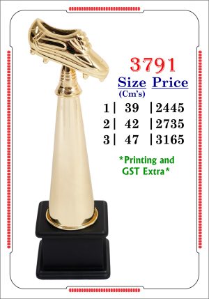 VR-3791 Trophy