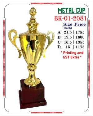 VR-BK-01-2081 Trophy