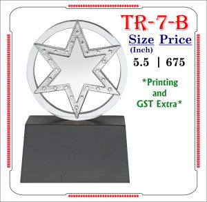 VR-TR-7-B Trophy