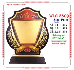 VR-WLG 3809 Wooden Trophy