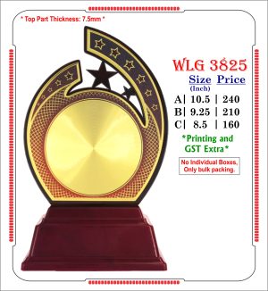 VR-WLG 3825 Wooden Trophy