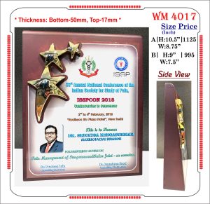 VR-WM 4017 Wooden Trophy