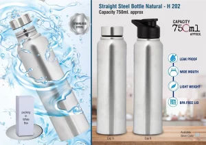 H202  Straight Steel Bottle Natural - 750ML