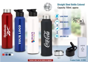 H203  Straight Steel Bottle Colored - 750ML